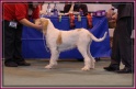 10-12-11 M GoodAsGold_Hmm LKA